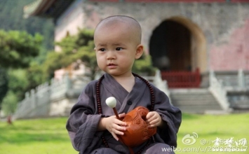 Tầm sư học đạo